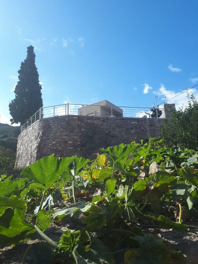 Villa Irini - Cretan Luxury Villa With Amazing View Paraspori  Extérieur photo